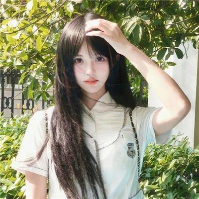 暴力的种子